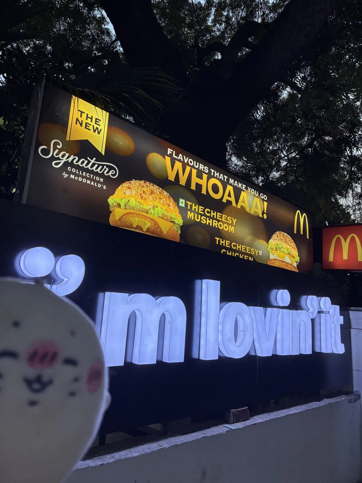 夜のニューデリー市内にあるマクドナルドの看板